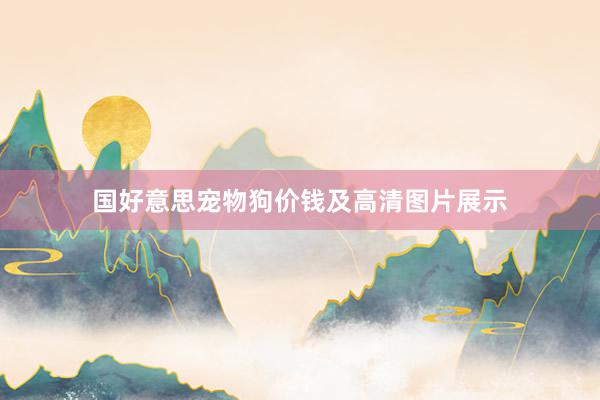 国好意思宠物狗价钱及高清图片展示
